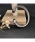 David Yurman المرأة الكلاسيكية Cablespira سوار الكفة الفضة الاسترليني مع الأرجواني الماس 7mm